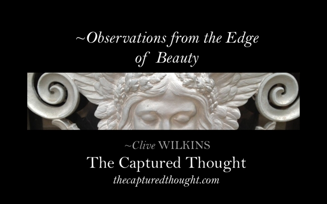 observations-from-the-edge-of-beauty-title